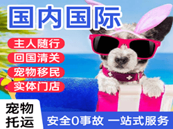 景德镇罗家机场快递国际宠物托运 【国